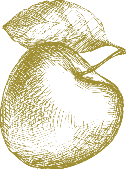 Logo de pomme
